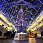 サッポロファクトリー ジャンボクリスマスツリー点灯｜11月1日（土）〜12月25日（木）アトリウムで開催！光と音のショーが毎時楽しめる✨