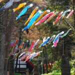 定山渓温泉渓流鯉のぼり｜2026年4月10日（金）〜5月10日（日）温泉街上空を約400匹が舞う春の風物詩！